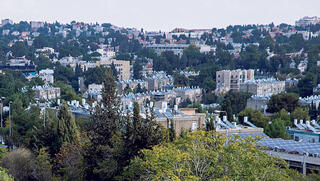 צילום: עמית שאבי