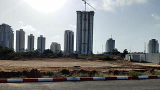 צילום: ז.כ שמאות