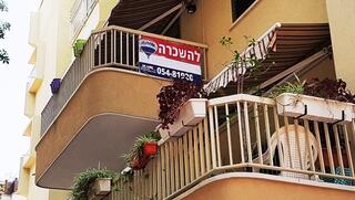 צילום: דוד הכהן