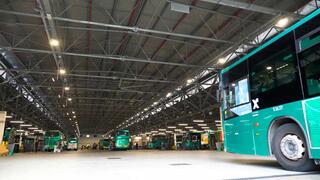 צילום טל אזולאי