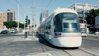 צילום: טל אזולאי