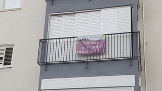 צילום: דוד הכהן