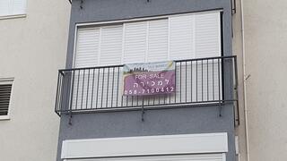 צילום: דוד הכהן