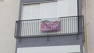 צילום: דוד הכהן