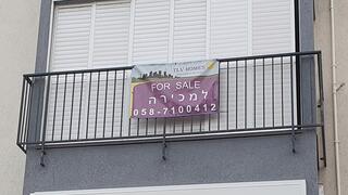צילום: דוד הכהן