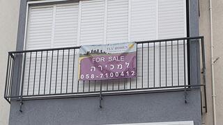 צילום: דוד הכהן