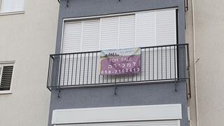 צילום: דוד הכהן