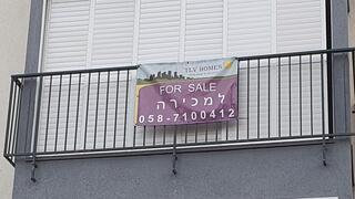 צילום: דוד הכהן