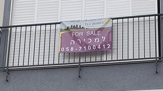 צילום: דוד הכהן