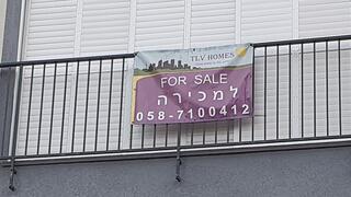 צילום: דוד הכהן