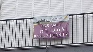 צילום: דוד הכהן