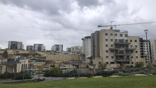 צילום: שאטרסטוק