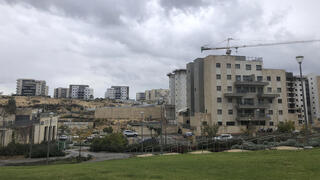 צילום: שאטרסטוק