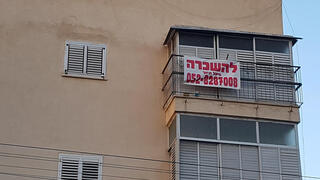 צילום: דוד הכהן