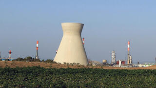 צילום: אלעד גרשגורן