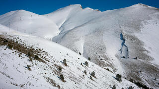 צילום: שאטרסטוק