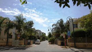 צילום: אבי מועלם