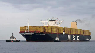 צילום: אלעד גוטמן