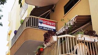 צילום: דוד הכהן