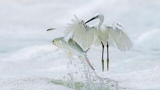  צילום: Lin Xiaoping