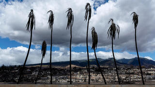 צילום: EPA/ETIENNE LAURENT