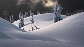 צילום: Blake Randall / NLPA