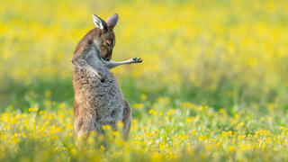 צילום: Jason Moore