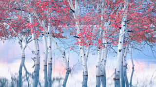 צילום: Blake Randall