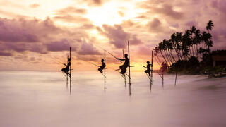 צילום: / WNPA Ioannis Pavlos