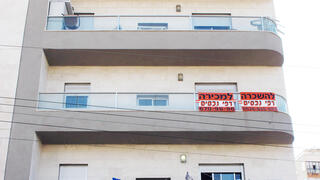 צילום: שאול גולן