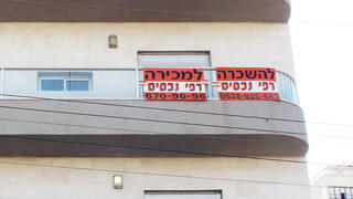 צילום: שאול גולן