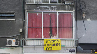 צילום: אוראל כהן