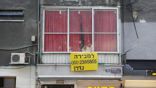 צילום: אוראל כהן