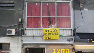 צילום: אוראל כהן