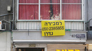 צילום: אוראל כהן