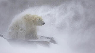 צילום: Daniel Valverde Fernandez 