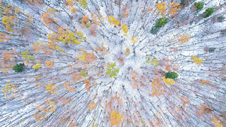 צילום: Gheorghe popa