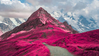 צילום: Gavin Spooner