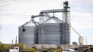 צילום: REUTERS/Megan Jelinger