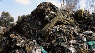 צילום: דניאל קמפוס