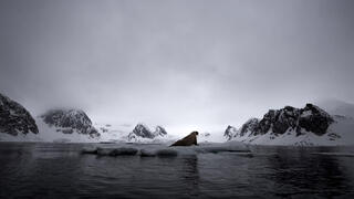 צילום: Malini Chandrasekar