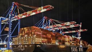 צילום: אבי מולכו