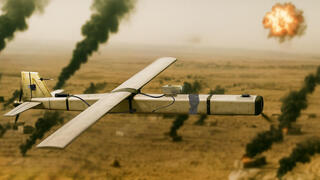 צילום: פרויקט הקברניט CC0