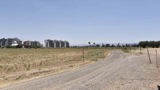 צילום: שרון צור