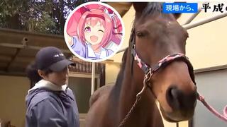 צילום: מתוך ערוצי היוטיוב Umamusume_ Pretty Derby, Sketchy The Horse Guy