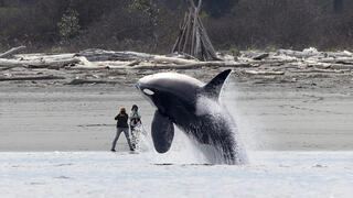 צילום: Yifan Ling