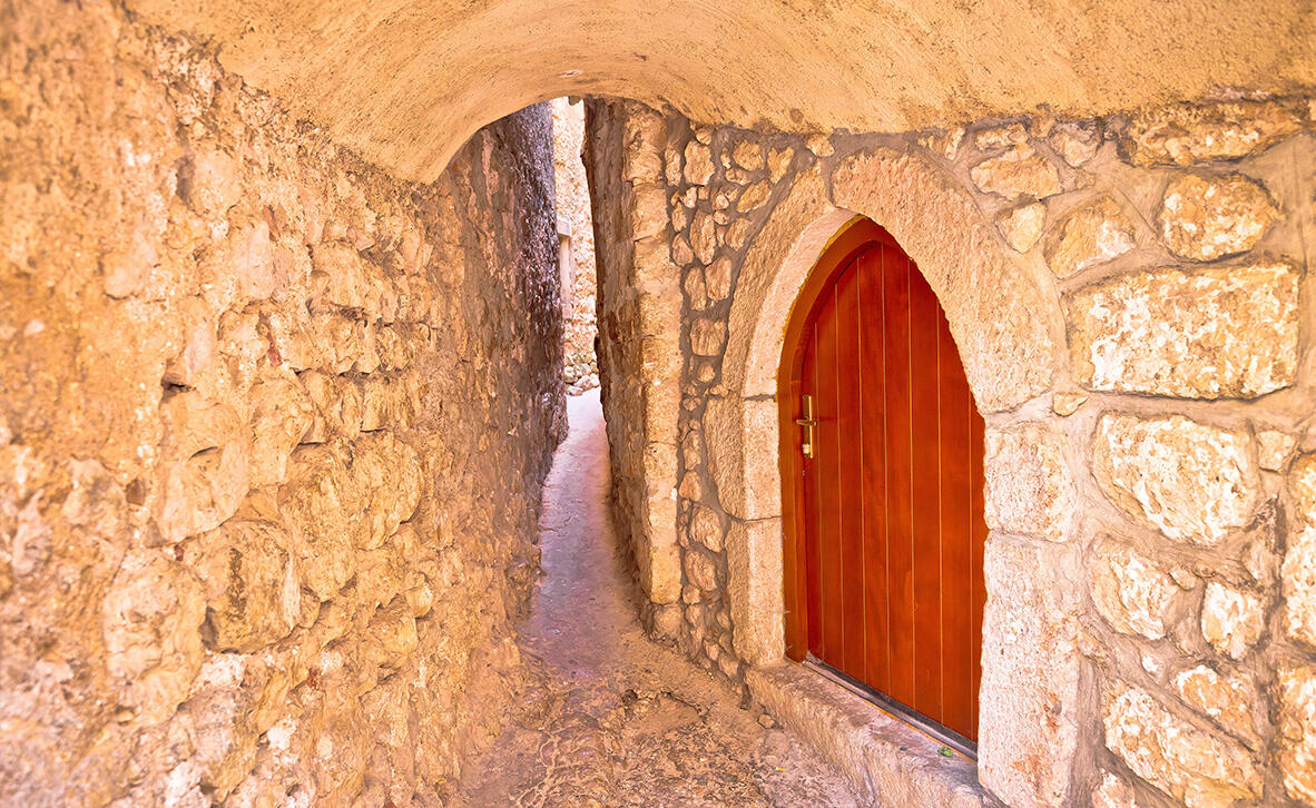 צילום: shutterstock